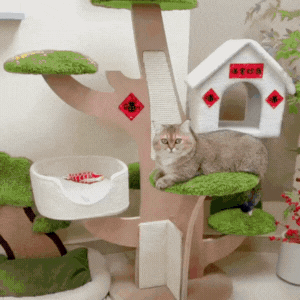 Guante Anticabello Reutilizable y Ecológico